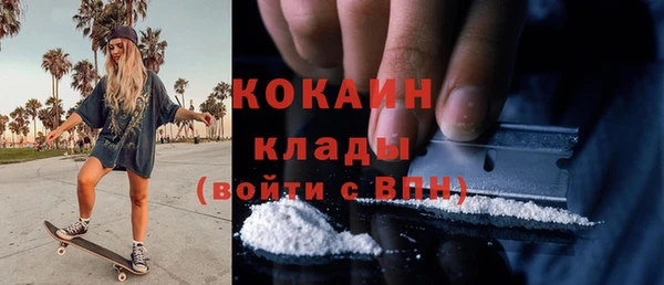 кокс Алексин